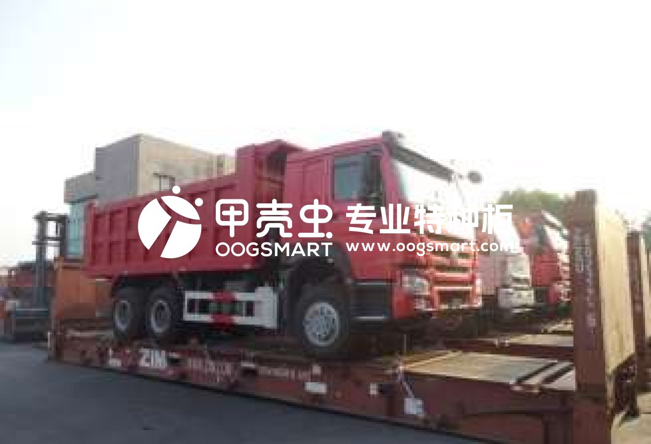 SHA--GEORGETOWN  11X40FR